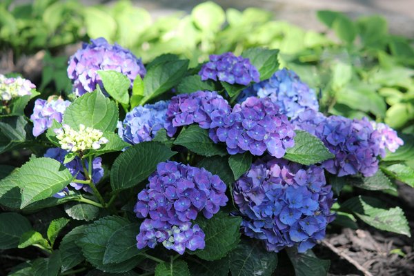 Devis fenêtres à Lyon : créez une ouverture sur mesure pour votre habitat